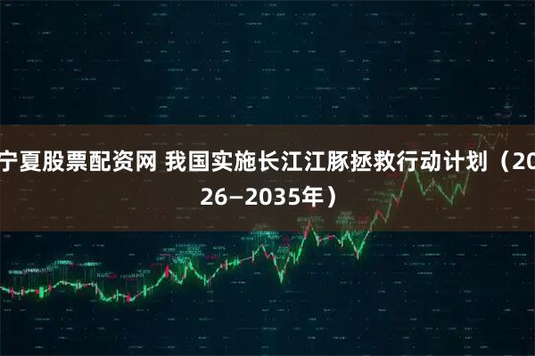宁夏股票配资网 我国实施长江江豚拯救行动计划（2026—2035年）